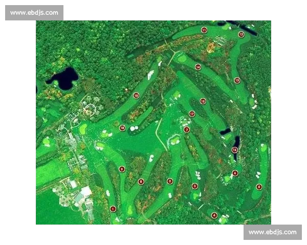 围绕联赛积分榜透视赛季走势与球队竞争格局全景解析深度剖析前景